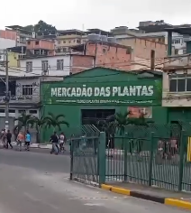 Veja vídeos da briga de torcidas também em Duque de Caxias. Quinze foram em cana