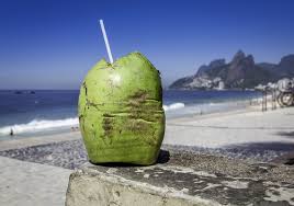 Ex-capitão do BOPE disse que milícias controlam vendas de coco em praias famosas do Rio. VIDEO