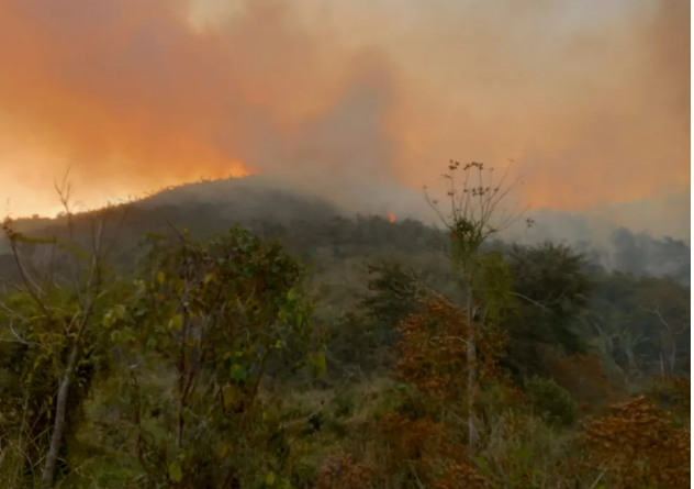 Incêndio que homem preso provocou em Valença (RJ) atingiu área equivalente a 2.300 campos de futebol, causou prejuízo de mais de R$ 1 milhão a dono de pousada e matou uma infinidade de animais